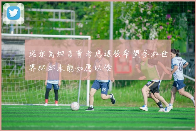 诺尔高坦言曾考虑退役希望参加世界杯却未能如愿以偿