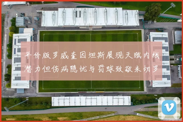 平价版罗威奎因坦斯展现天赋内线潜力但伤病隐忧与罚球致敬米切罗